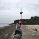 워싱고릴라 | [유모차세탁업체]워싱고릴라이용후기