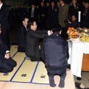 부산공동어시장 이미지