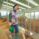 연강마루목장 이미지