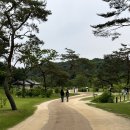 치치의 5월 l ② 왕릉팔경 - 시취 : 성종의 능행길 (여주 당일치기 여행)