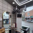 고양이 미용실 그냥 이미지