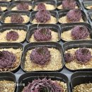 G0140 네이버블로그