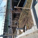 탑동초교 이미지