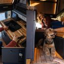 쌍용카랜드 | 차박 끝판왕 등장! 이네오스 그레나디어 캠핑카 ‘Grand Bohemian’ 완벽 분석 (가격, 옵션, 실사용 후기)