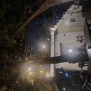 도심어부 이미지