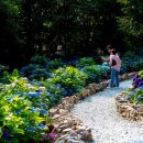 수국정원 이미지