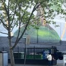 그레이트팜 | 호주 멜버른 9월 그레이트 오션로드 (조이투어) 후기 (+헬기옵션X 양떼목장 구경)