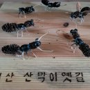 산골산내음 이미지