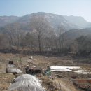 오산양지 이미지