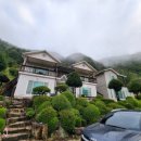 돌뫼농원 이미지