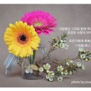참맛 이미지