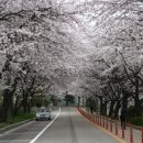 은파호수공원 9-4 이미지