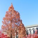 은혜와진리교회(교육관) 이미지