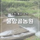 신라농원식당펜션 | [춘천]나만 알고싶은 계곡 ‘물암골농원 펜션식당’ 완전 추천 후기