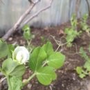 천지원 농장 이미지