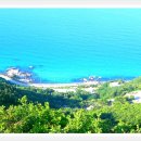 강릉임해자연휴양림 이미지