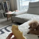 (주)화이트리에 이미지