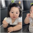 하루 이미지
