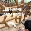 뽑기왕 2호점 | 시흥 이색카페 아이와가볼만한곳 쥬뗌므에서 먹이주기체험 후기