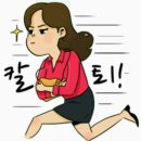채홍 이미지