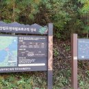김삿갓면-39 이미지