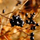 우림슈퍼 이미지