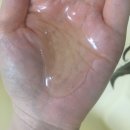 한수약품(주) | [탈모샴푸 추천] 현대약품 마이녹셀 스칼프 인텐시브 샴푸 바이 랩클 사용후기