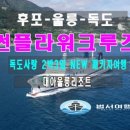 금성여행사 이미지