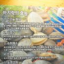 갯마을칼국수보쌈 이미지