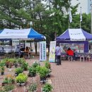 가양3동 이미지