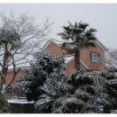 제주곶자왈별장 이미지