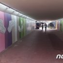 참마을로 뉴스1