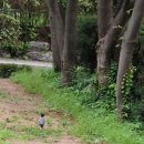 동산우성 이미지