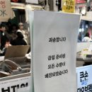 김밥광장 | 광장시장 김밥팝업 후기