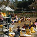 증안초교 병설유치원 이미지