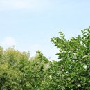 연호한의원 이미지