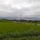 서산IC(서울) 이미지