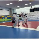 액션 멀티짐 태권도장 이미지