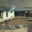 리틀포레스트 이미지