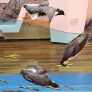 철새박물관 이미지