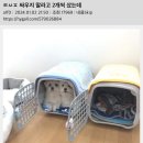 이** 이미지