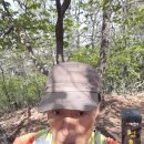 2025.04.25. 천호산(개태사~천호산~경찰사격장 5.22km 2h20m)..나홀로산행.. 이미지
