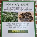 구쁘다코다리 이미지