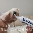 배초향 | 강아지 피부관리와 발패드 보습까지, 페노비스 엑소제닉 겔 사용후기