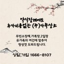 주식회사 정정당당 이미지