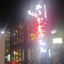 홍돼지 이미지