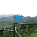 청우민박 이미지