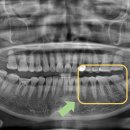 연세이다운치과의원 이미지