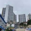 신평초교 인근 이미지