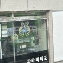 파라삐리포 이미지